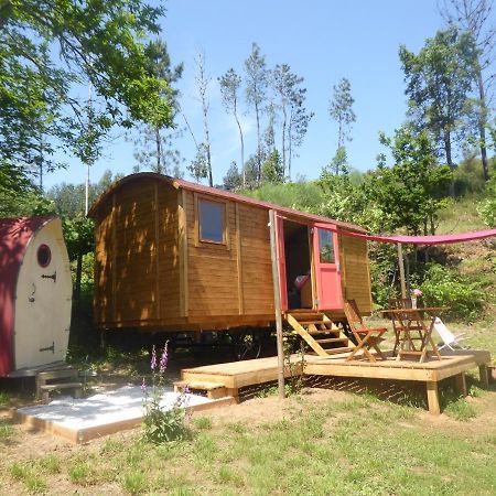 Rosa The Cosy Cabin - Gypsy Wagon - Shepherds Hut, River Views Off-Grid Eco Living Педроган-Гранди Экстерьер фото