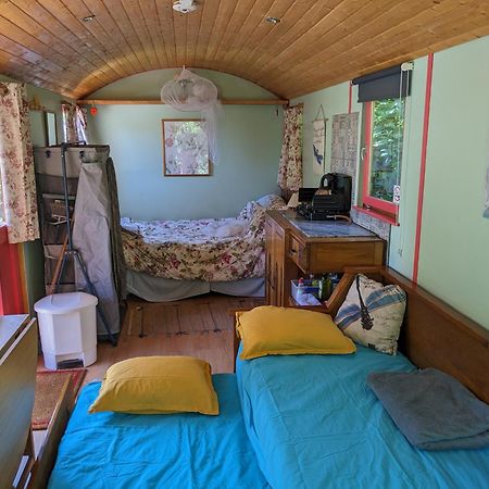 Rosa The Cosy Cabin - Gypsy Wagon - Shepherds Hut, River Views Off-Grid Eco Living Педроган-Гранди Экстерьер фото