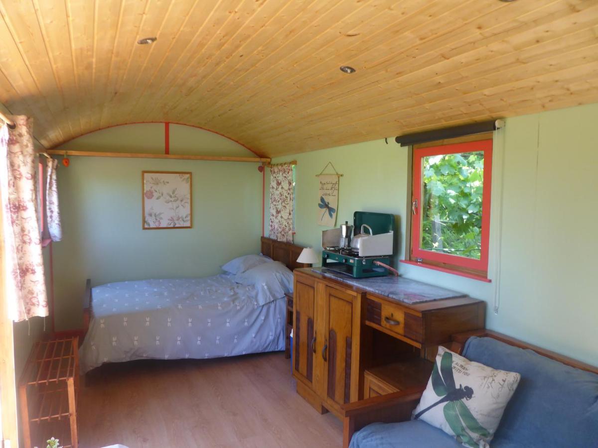 Rosa The Cosy Cabin - Gypsy Wagon - Shepherds Hut, River Views Off-Grid Eco Living Педроган-Гранди Экстерьер фото