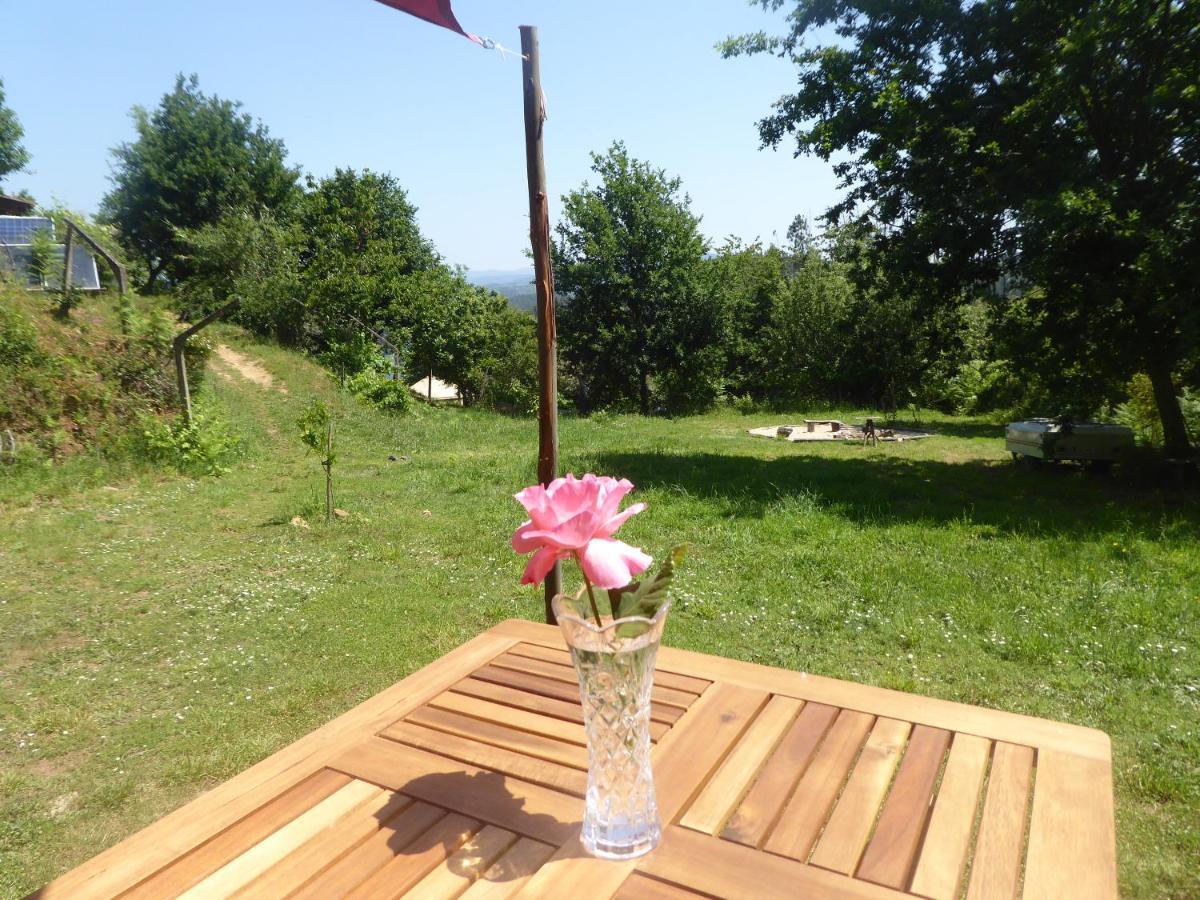 Rosa The Cosy Cabin - Gypsy Wagon - Shepherds Hut, River Views Off-Grid Eco Living Педроган-Гранди Экстерьер фото