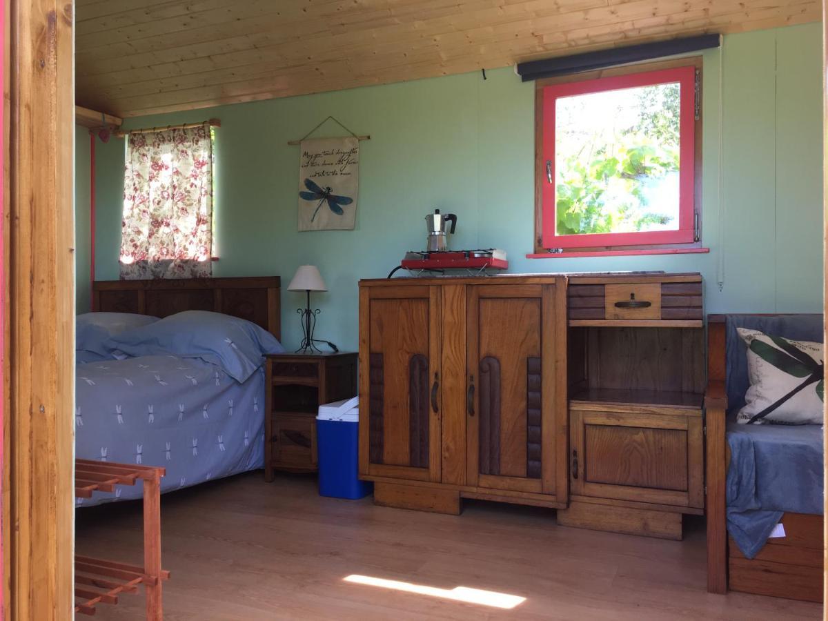 Rosa The Cosy Cabin - Gypsy Wagon - Shepherds Hut, River Views Off-Grid Eco Living Педроган-Гранди Экстерьер фото