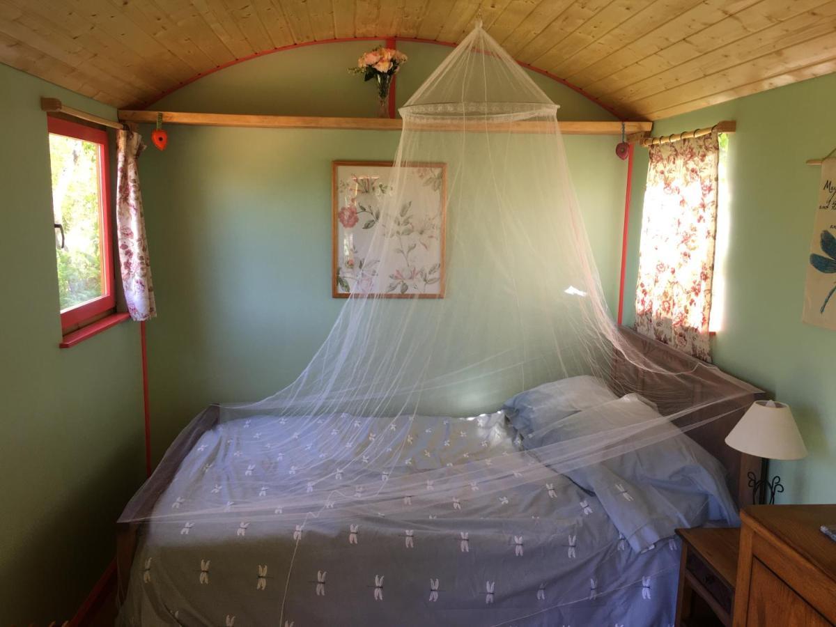 Rosa The Cosy Cabin - Gypsy Wagon - Shepherds Hut, River Views Off-Grid Eco Living Педроган-Гранди Экстерьер фото
