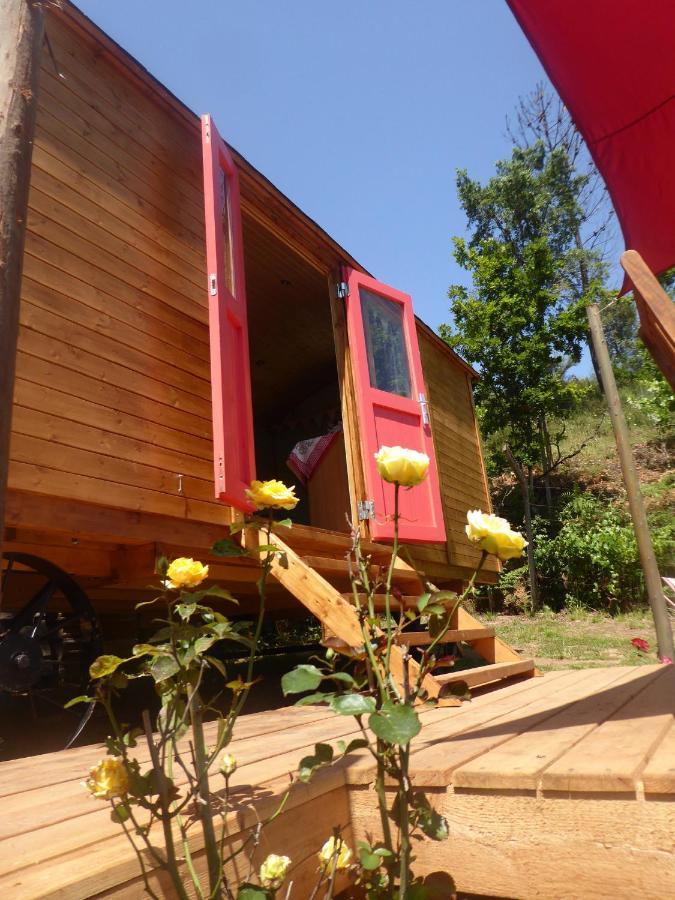 Rosa The Cosy Cabin - Gypsy Wagon - Shepherds Hut, River Views Off-Grid Eco Living Педроган-Гранди Экстерьер фото